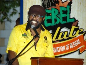 Live Stream: Rebel Salute 2015 " The Preservation of Reggae " 