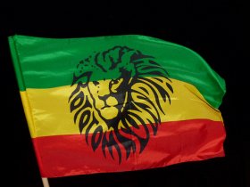 More Than Twenty. A dream come true called Rototom Sunsplash