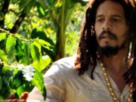 Rohan Marley aids in Protecting African Lions (PAL)