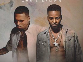 Chris Brown flexes Dancehall prowess with Konshens